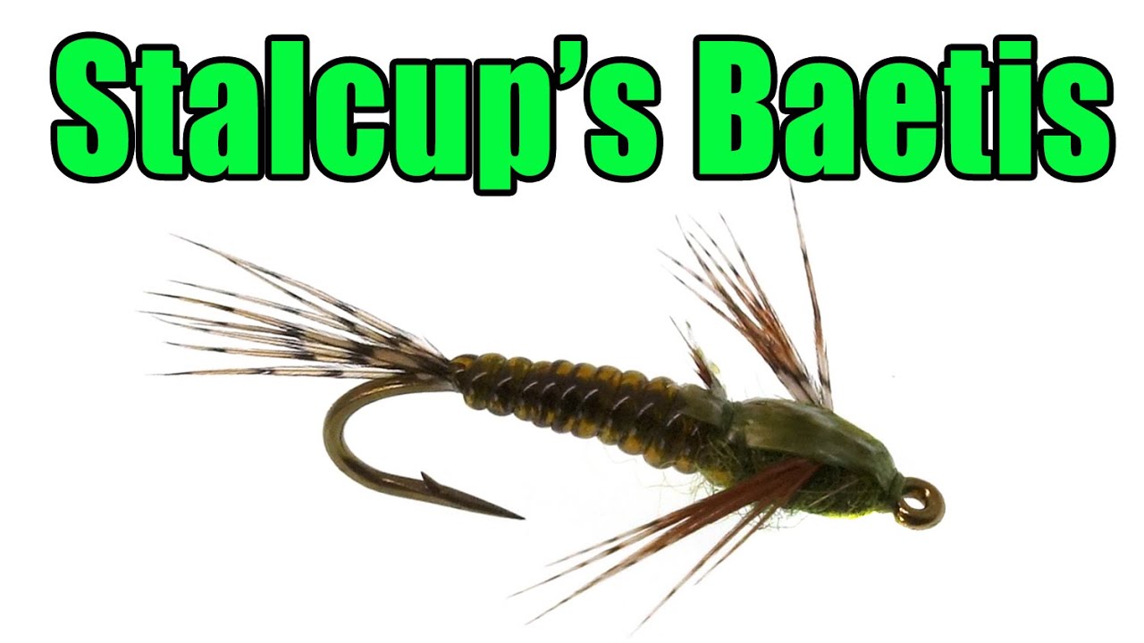 Stalcup's Baetis Fly Tying - Shane Stalcup Fly Pattern