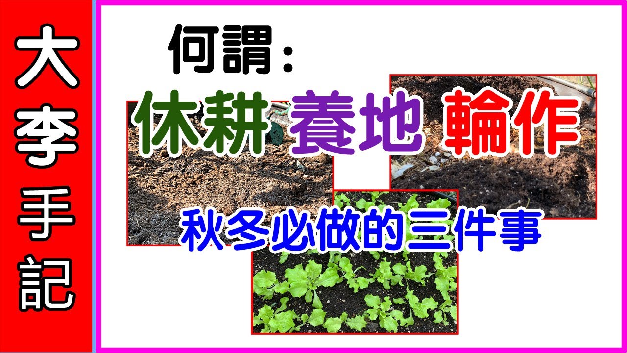 【園藝種植】 休耕~養地~輪作, 秋冬必做的三件事.