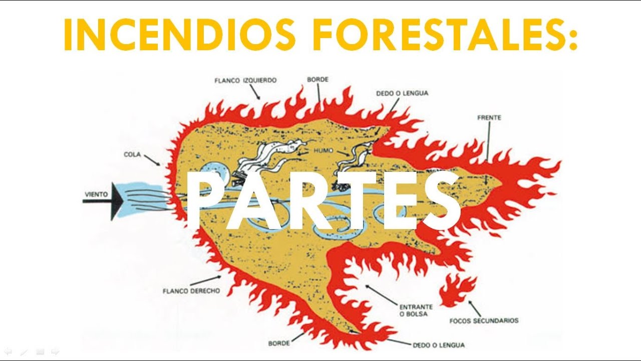 INCENDIOS FORESTALES: PARTES