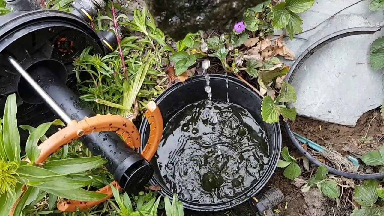 Deep Clean Of Pond Filter