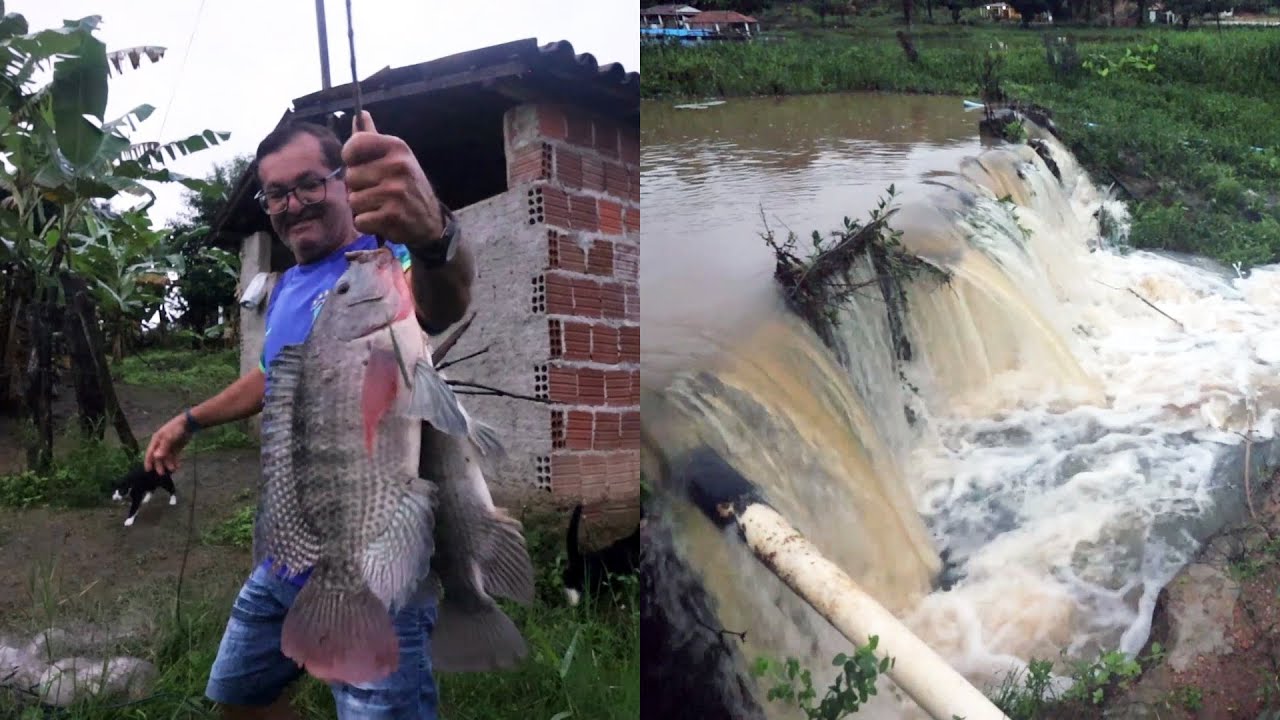 MUITA CHUVA E MUITA ÁGUA NA LAGOA E NOS POÇOS + TARRAFADAS