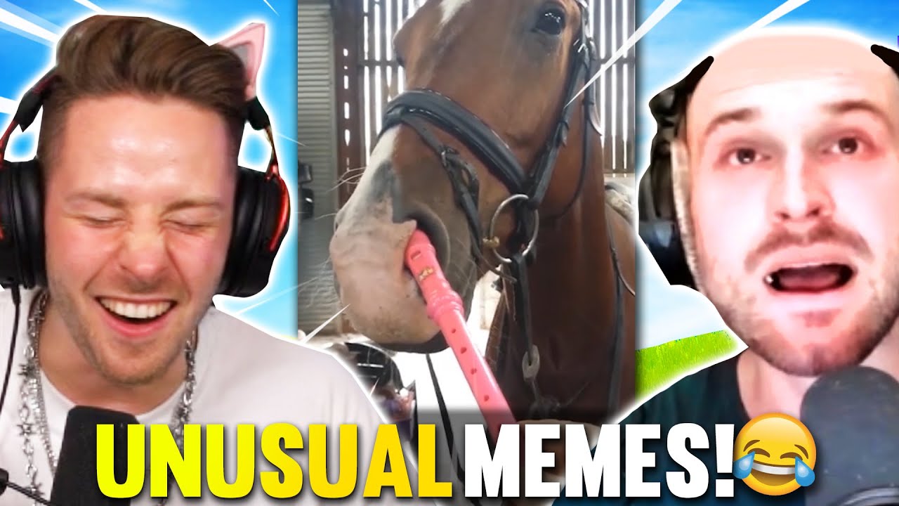 NICHT Lachen GEHT nicht mit Stroppo - Ununsual MEMES 💯