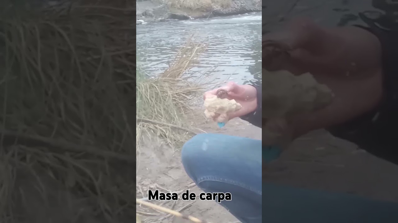 masa de carpa