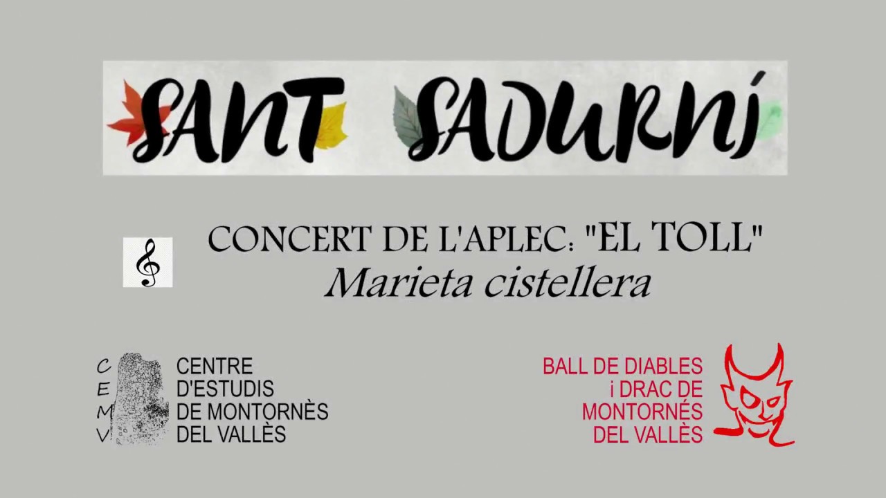 APLEC SANT SADURNÍ 2018: EL TOLL 