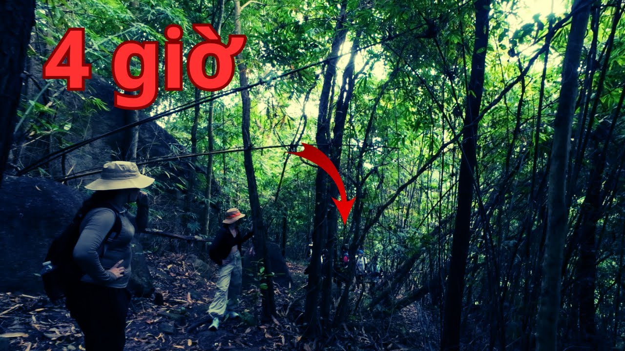 Kh&aacute;m Ph&aacute; V&agrave; T&igrave;m Hiểu Trong Khu Rừng V&agrave; N&uacute;i T&oacute;c Ti&ecirc;n Cao 433m_Th&agrave;nh VlogSG #travel
