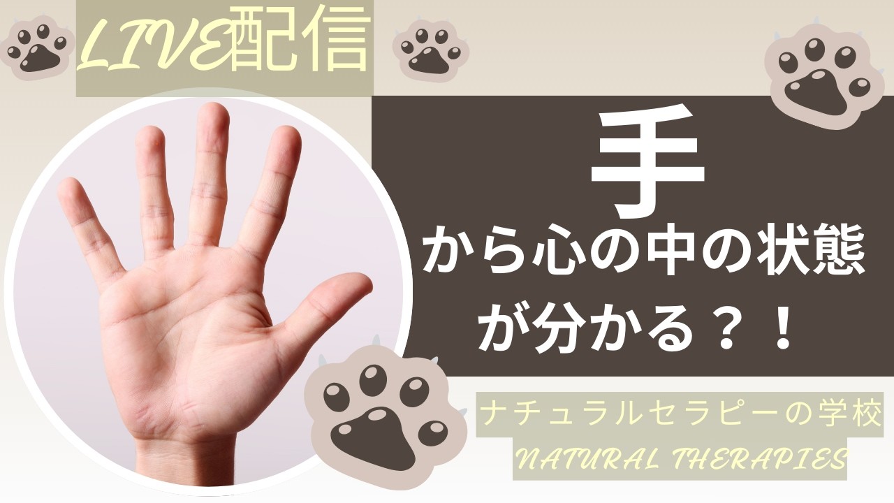 手を見ると健康状態が分かる、手のひらを見てみよう！【ナチュラルセラピーの学校】