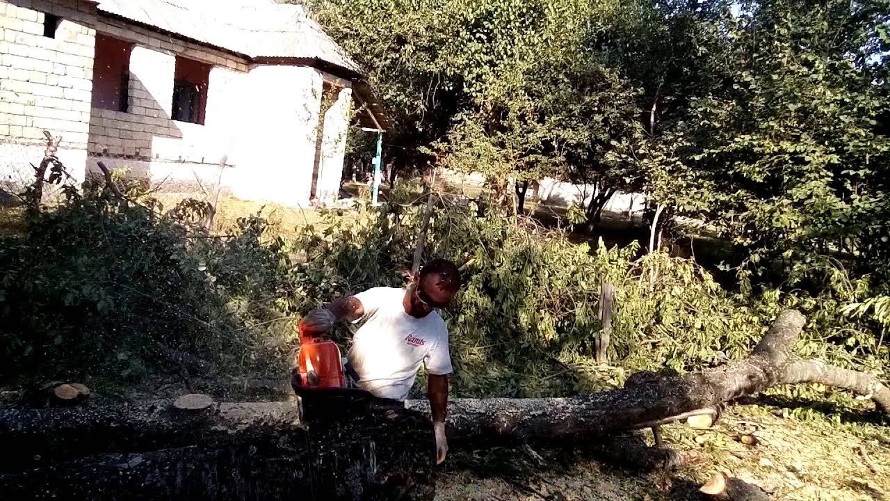 STIHL MS 390   agac kesimi