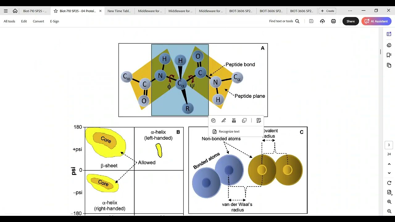 Revision Session 2 | Biot-710 SP25 | 121Jun 2025