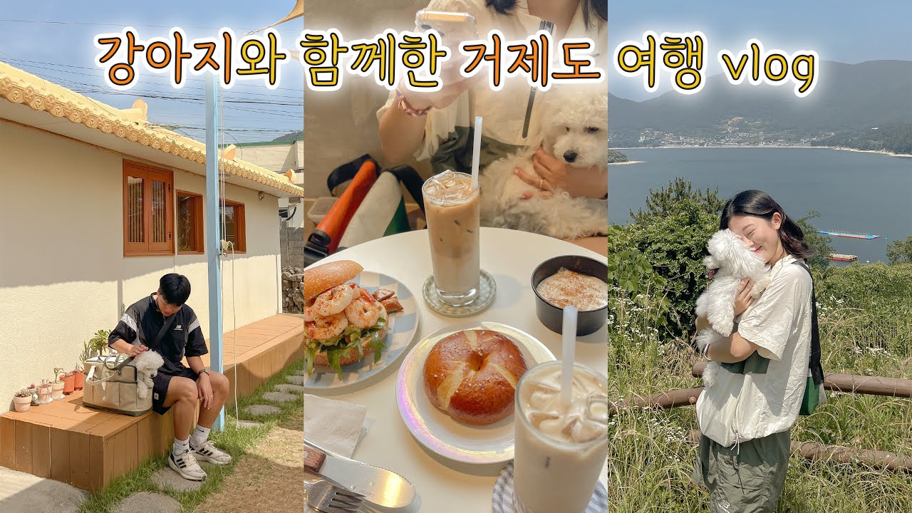 거제도 애견 동반 🐶 맛집, 카페, 여행지, 숙소 추천! travel to Geoje island with my puppy for 2D1N 🐾 여행 브이로그 vlog