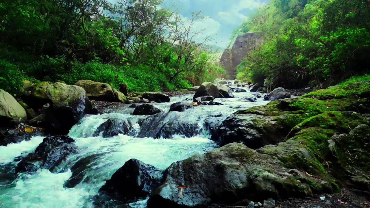 Peaceful River Sound for Relaxation, Mental Recovery and Emotional Balance