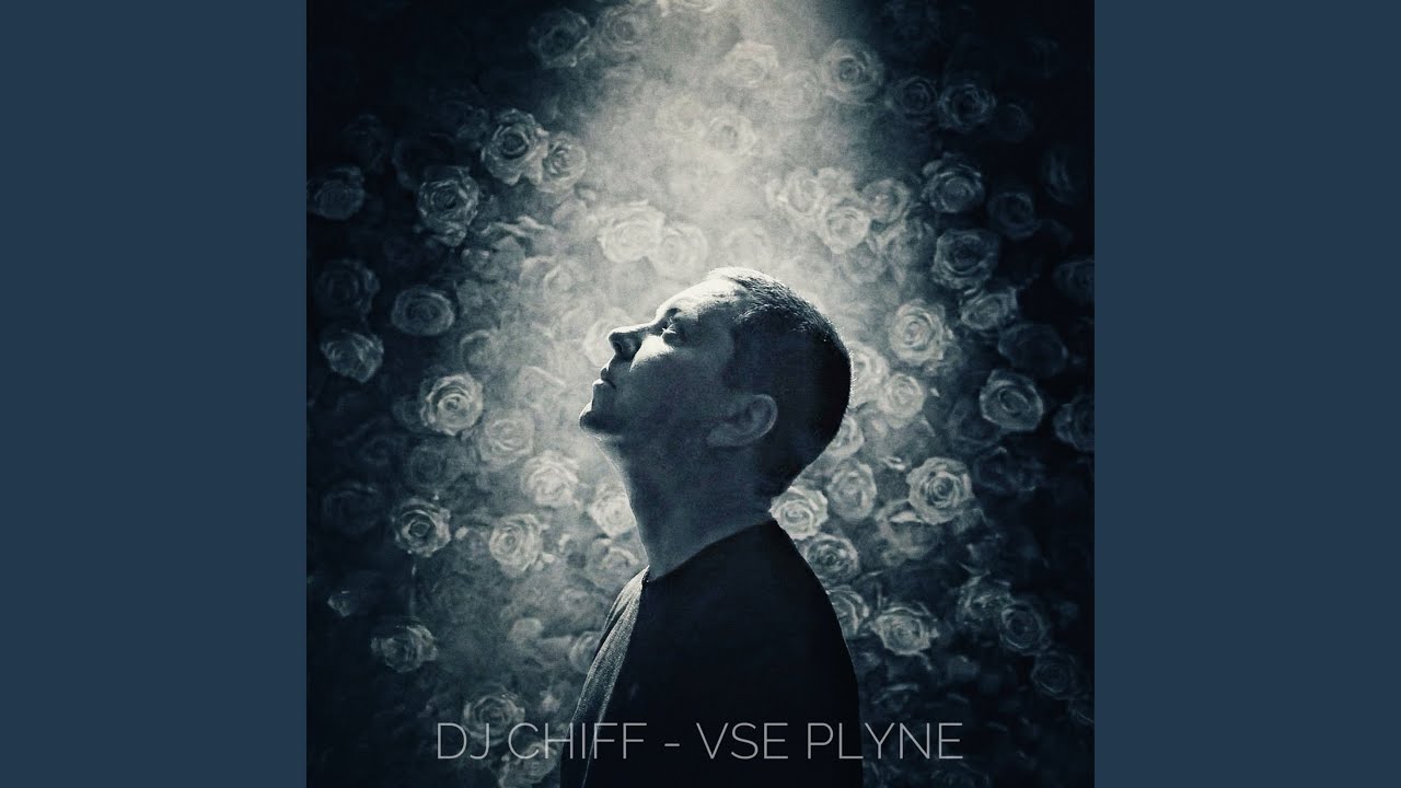 Vse plyne