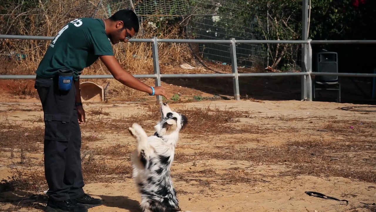 ישיבה תיכונית אמי"ת "חברותא" - כפר בתיה רעננה