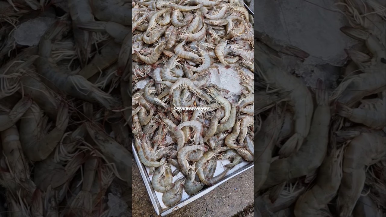 Russell Fish Market #updates #russell #fishmarket #shivajinagar #bangalorecity #ytshort #viral