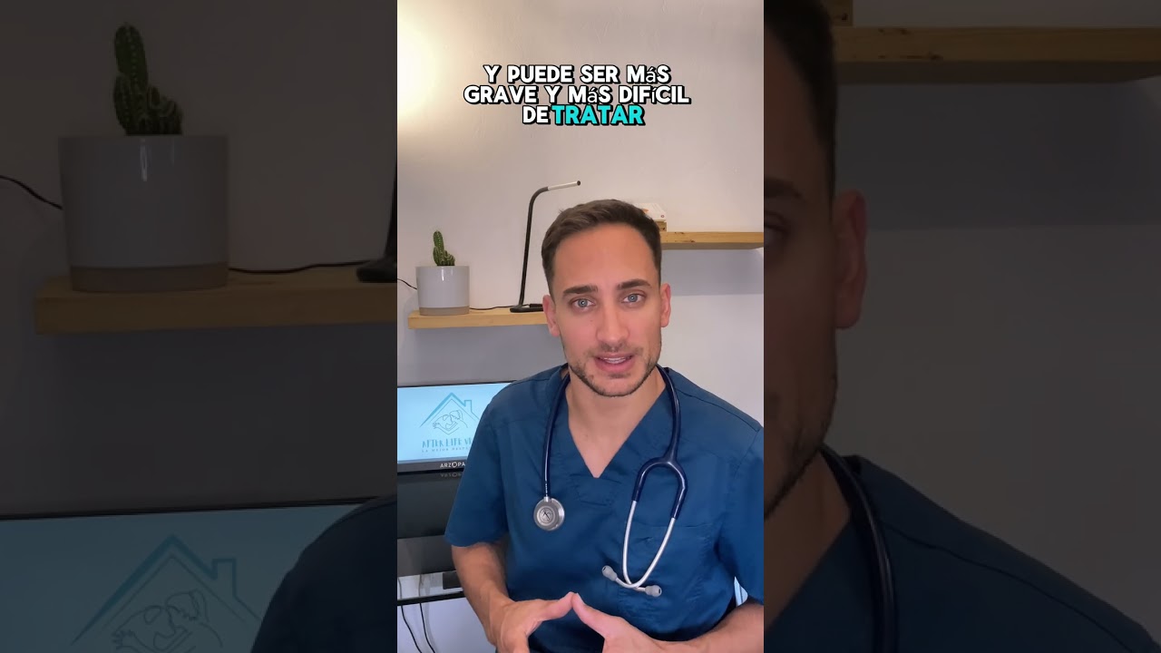 Infecci&oacute;n de piel o Pioderma! 🐕🩹 Descubre, Previene y Act&uacute;a. #shors