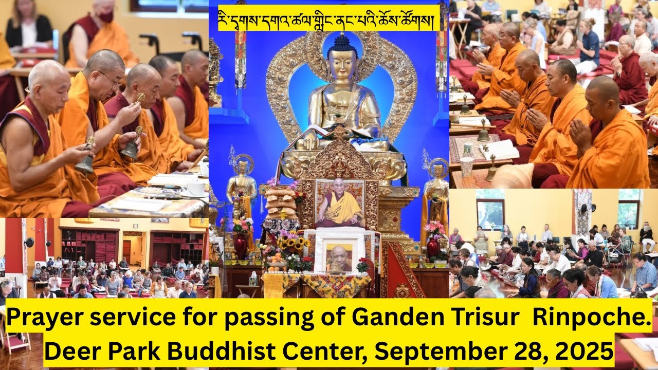 Prayer service for passing of Ganden Trisur  Rinpoche. Deer Park Buddhist Center, September 28, 2025