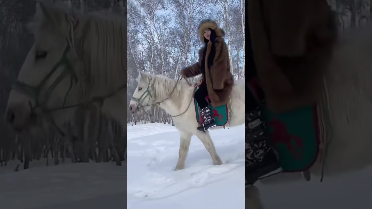 I can book horseback riding this afternoon. Time to go home. 