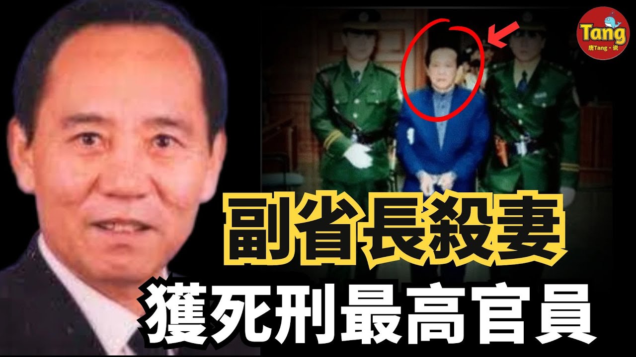 副省長殺妻，52歲執行死刑！從海歸博士到政壇新星，他為何離婚後要迎娶小保母最後又殺害？中國歷史上犯故意殺人罪被判死刑的級別最高的官員#婚姻#家庭#真實案件@TangtangSay
