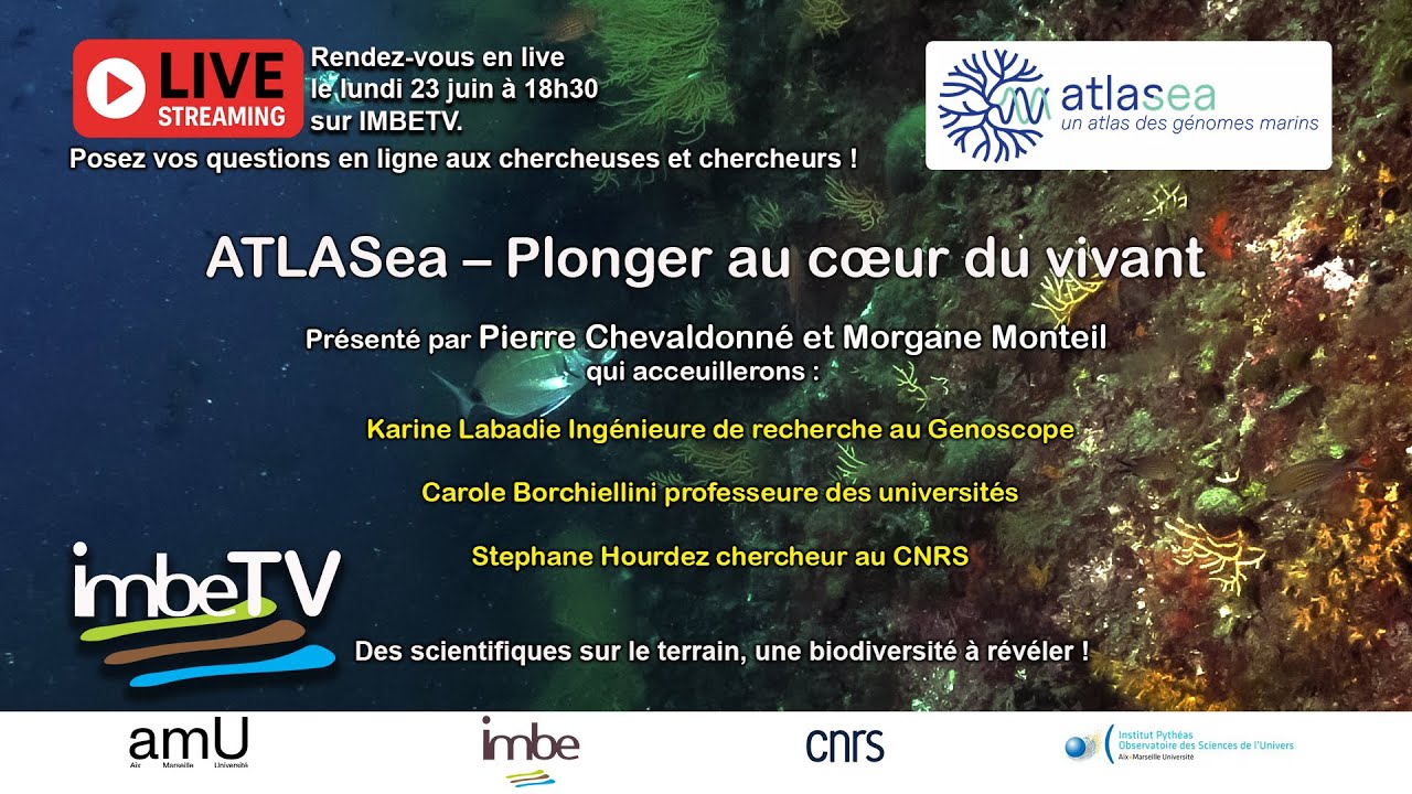 Atlasea: plonger au coeur du vivant.  2ᵉ émission en direct – Lundi 23 juin 2025 18h30 2/3