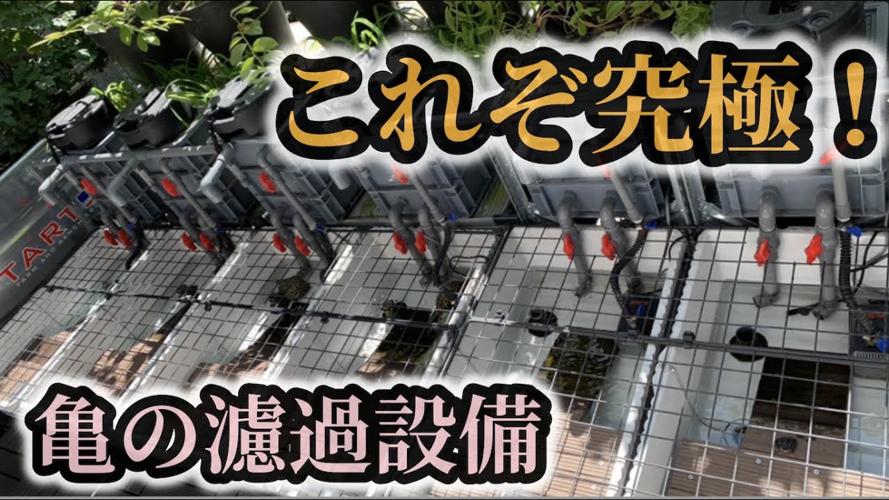 これそ究極の亀濾過設備！　お宅訪問シリーズ〜かめぞー★ちゃんねる　153クラッチ目〜
