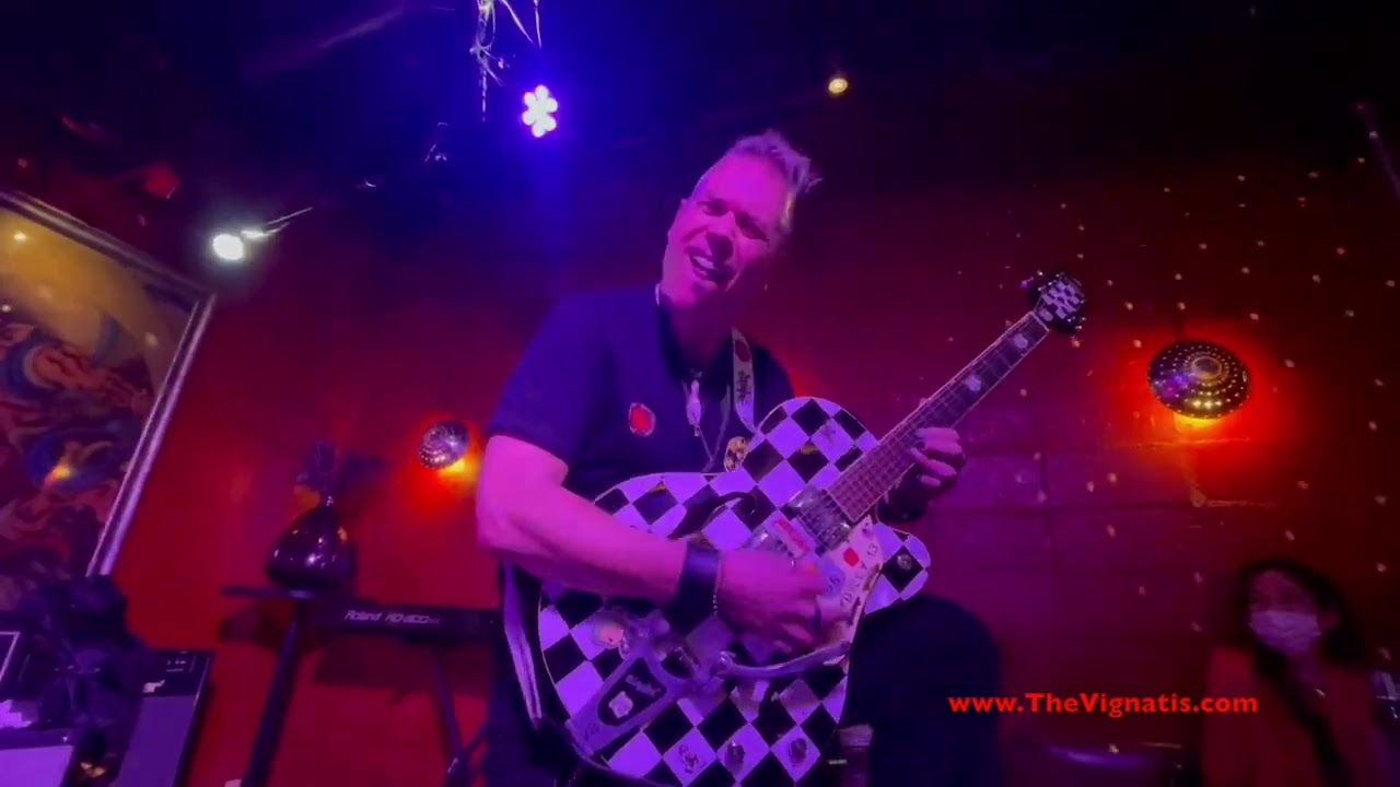 The Vignatis (LIVE) 