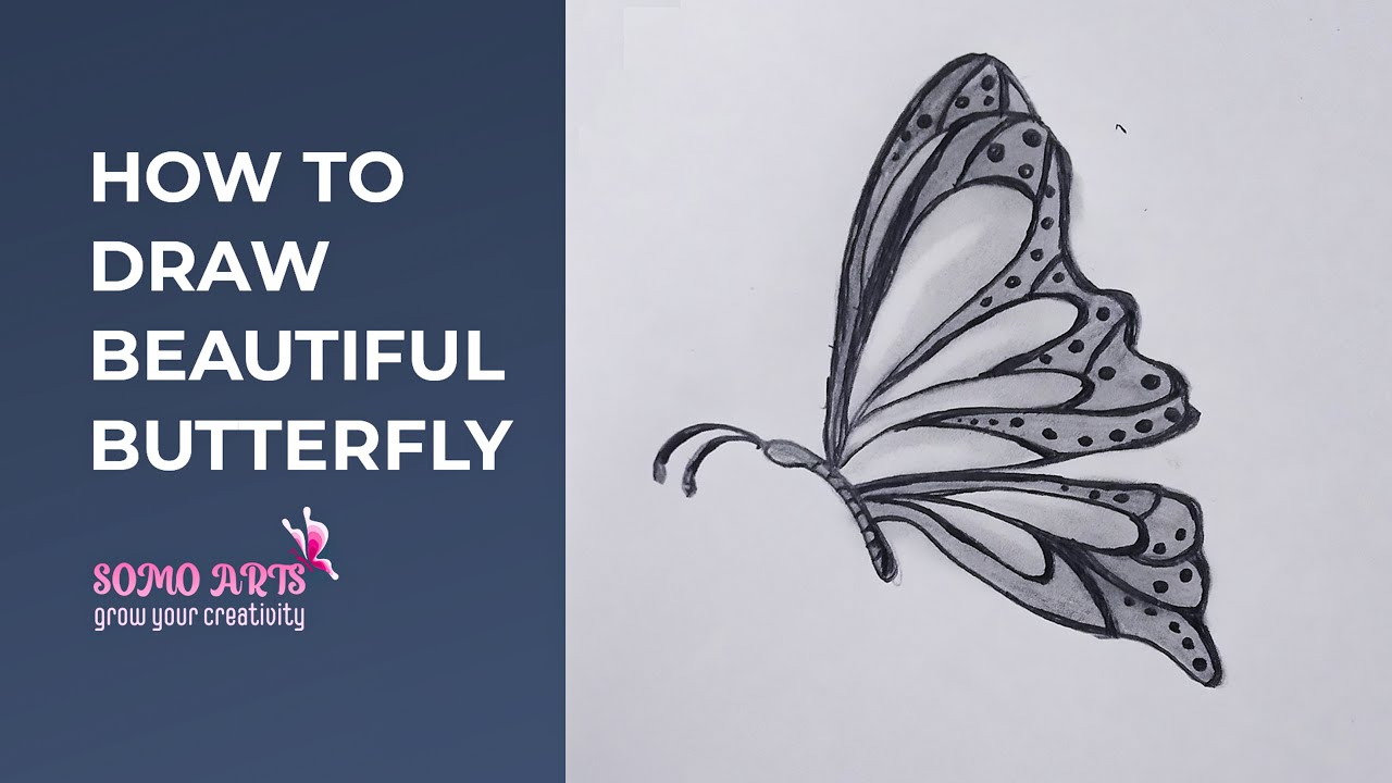 How to draw a beautiful butterfly | Pencil sketch Arts | Somo Arts