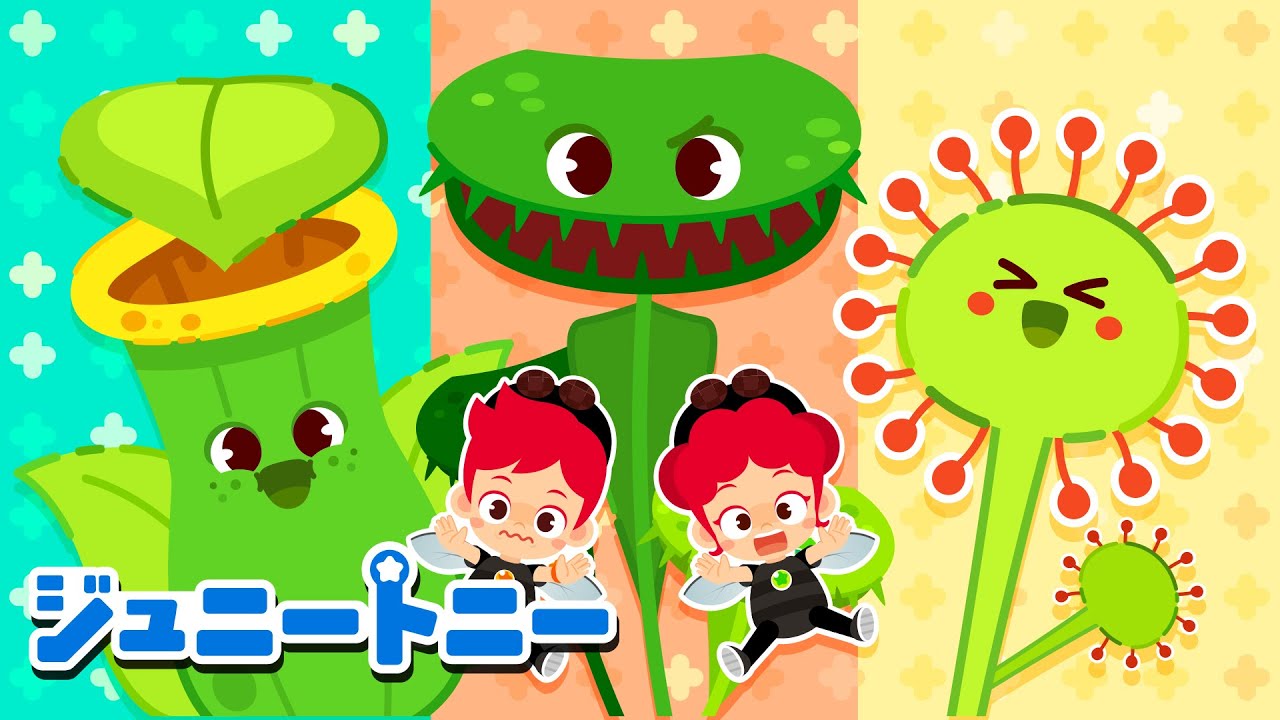 ハエトリグサへ ようこそ！🌱🐛 ふしぎな植物とかわいいむしさん｜アニメ｜童謡｜ジュニートニー - 子どもの歌と童話 JunyTony