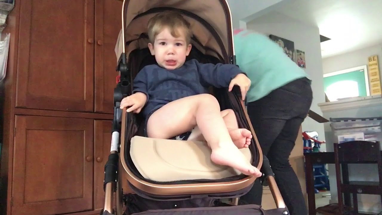 Review Of Cynebaby Stroller And How To Put It Together