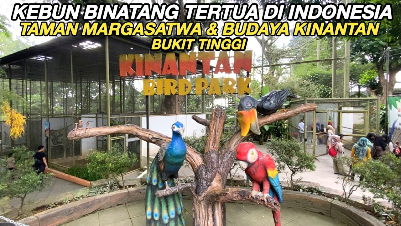 KEBUN BINATANG KINANTAN BUKITTINGGI SUMATERA BARAT