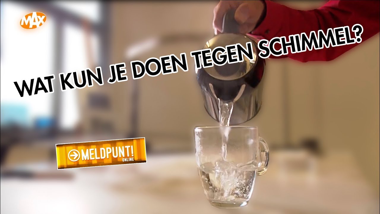 MELDUNT ONLINE #13: HELP, SCHIMMEL IN HUIS!