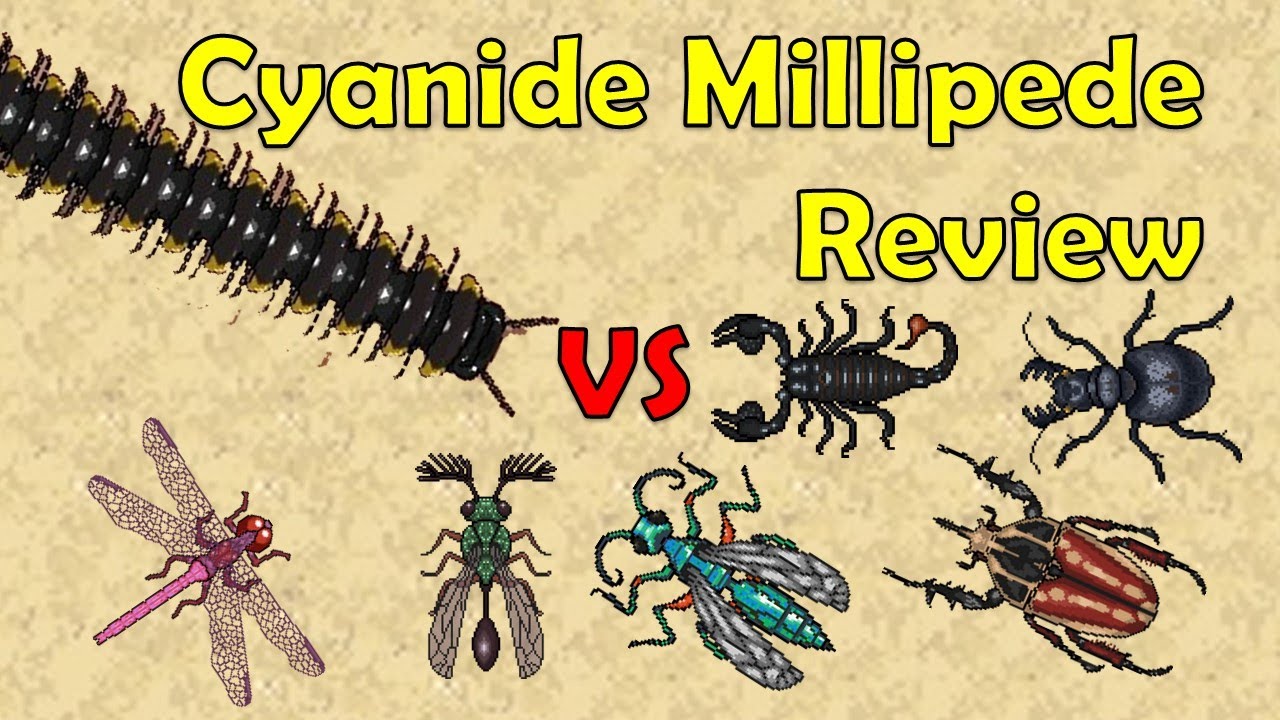 Cyanide Millipede Review - Pocket Ants - Smart Daddy