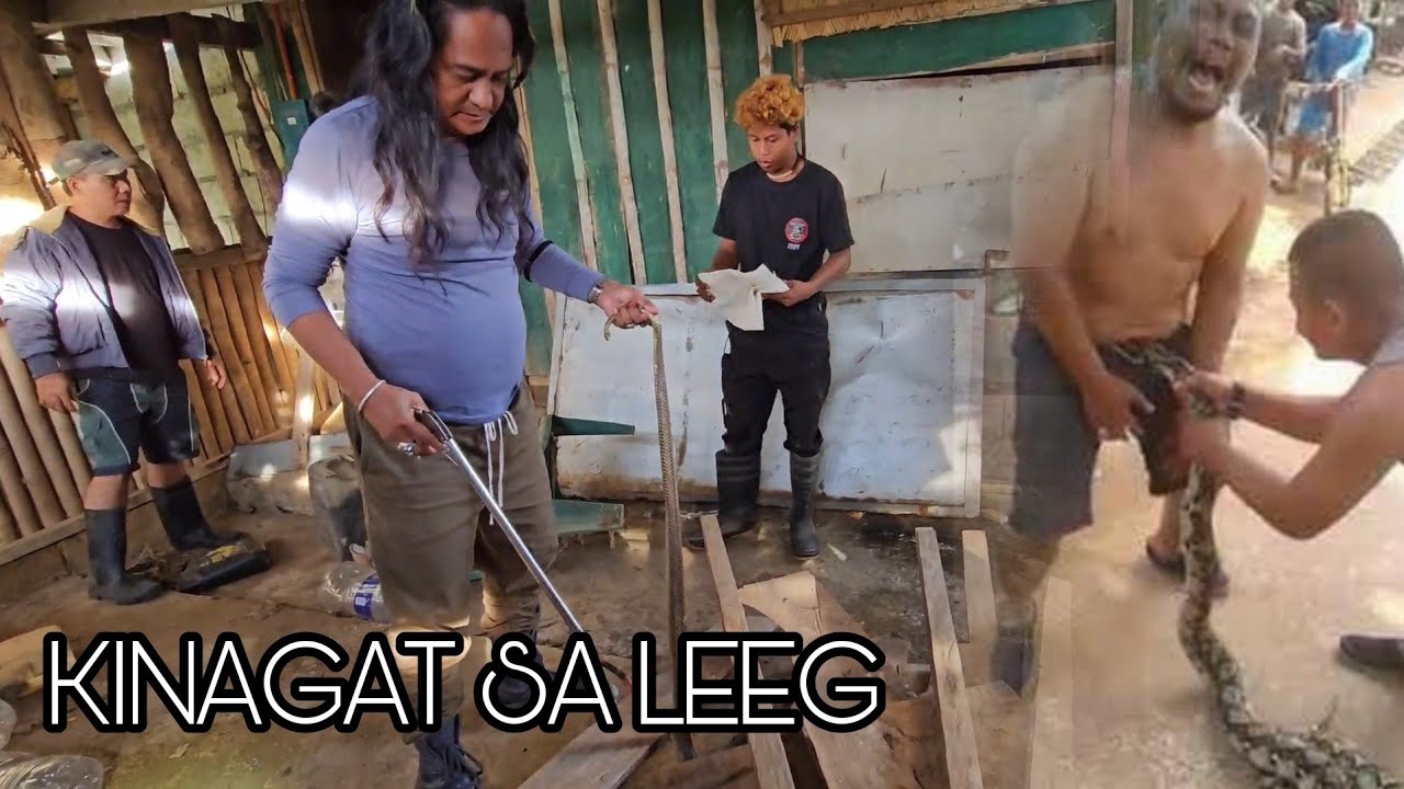 LALAKING NA TUKLAW SA LEEG MINUTO LANG INABOT#cobraking#cobraprince