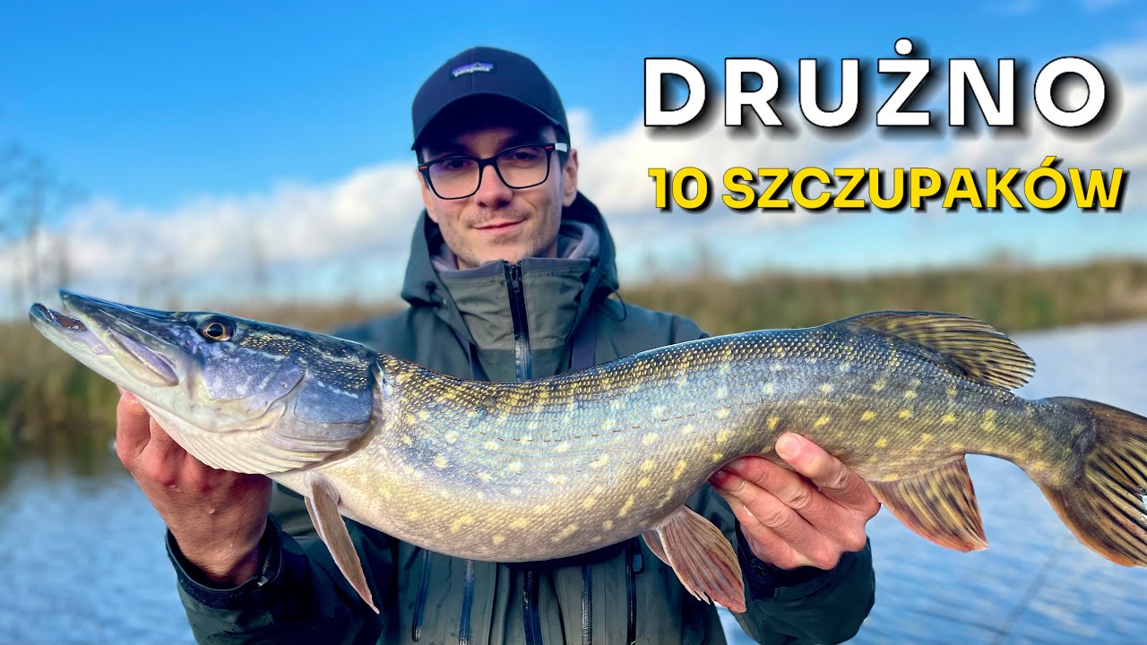 10 Szczupaków na Spinning | Jesienne szczupaki z płytkiej wody - Drużno