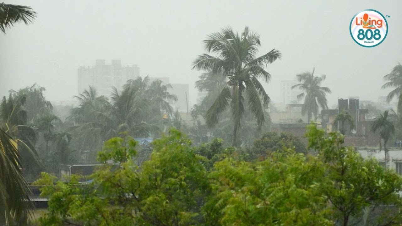 Hurricane preparedness tips for Hawaii residents