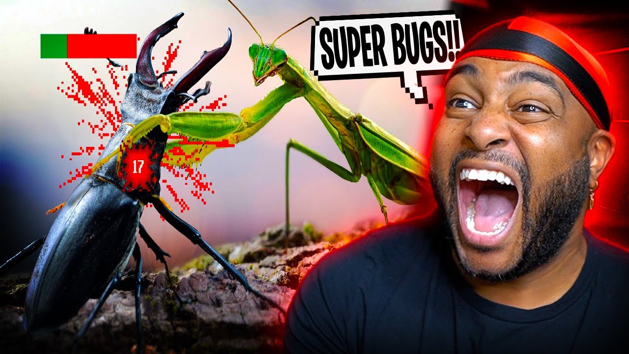 THE INSECT TIER LIST IS CRAZY!! ( @TierZoo )