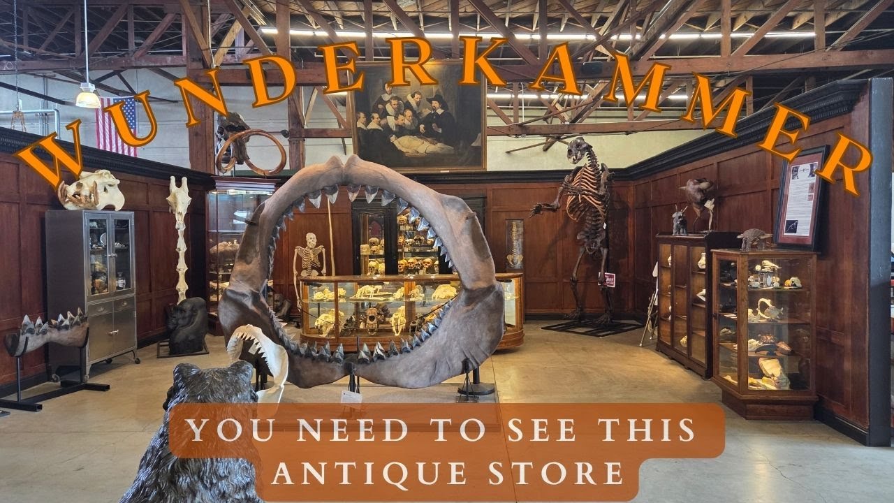 Exploring a Spooky Antique Store!