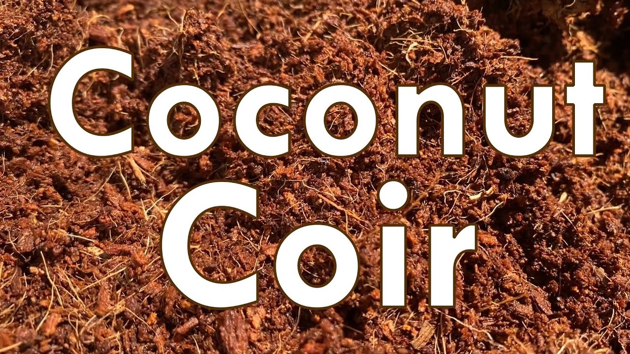 Кокосовое волокно 🥥 Лучше, чем почвенная смесь?
