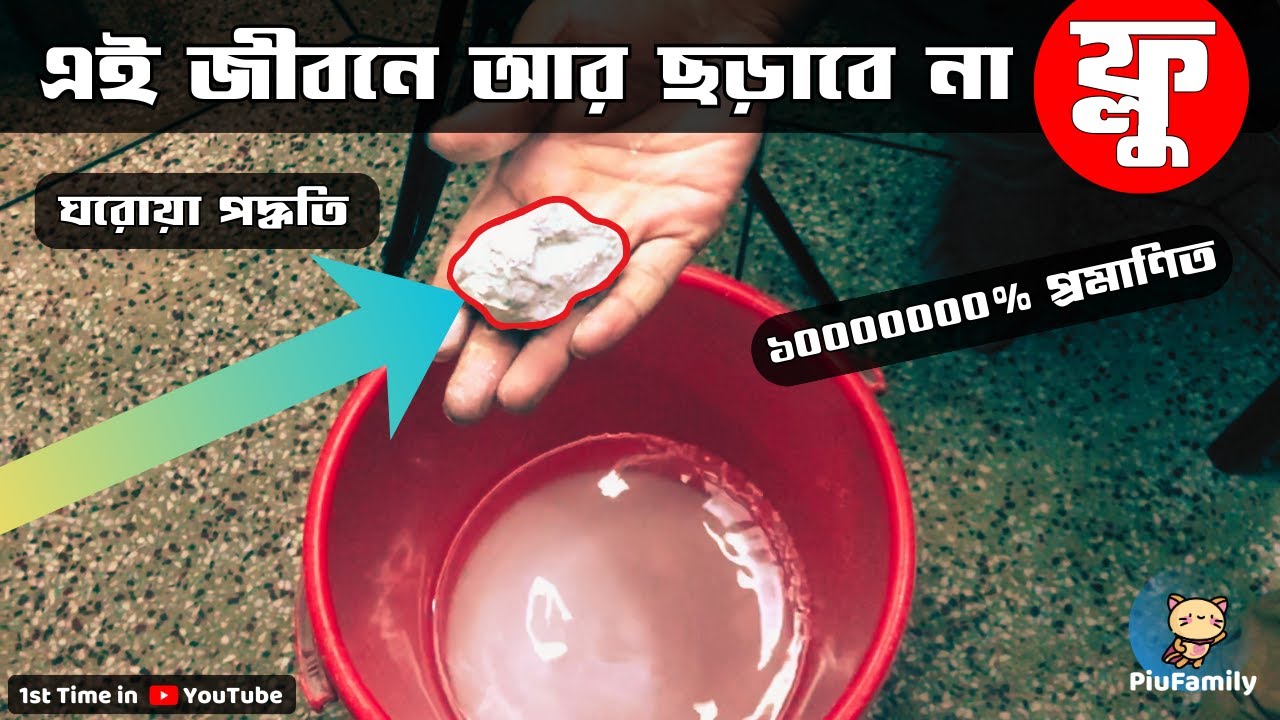 ঘরোয়া পদ্ধতিতে এই একটি কাজ করলে এই জীবনে বিড়ালের ‘ফ্লু’ রোগ আর ছড়াবে না 😲 ১০০% কার্যকরী | CAT FLU