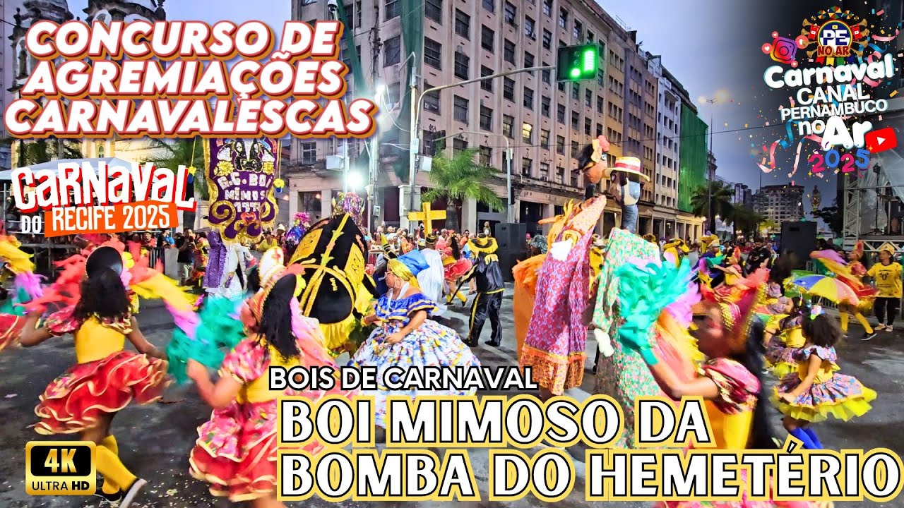 [CARNAVAL 2025] BOI MIMOSO DA BOMBA DO HEMETÉRIO CONCURSO DE AGREMIAÇÕES CARNAVALESCAS DO RECIFE