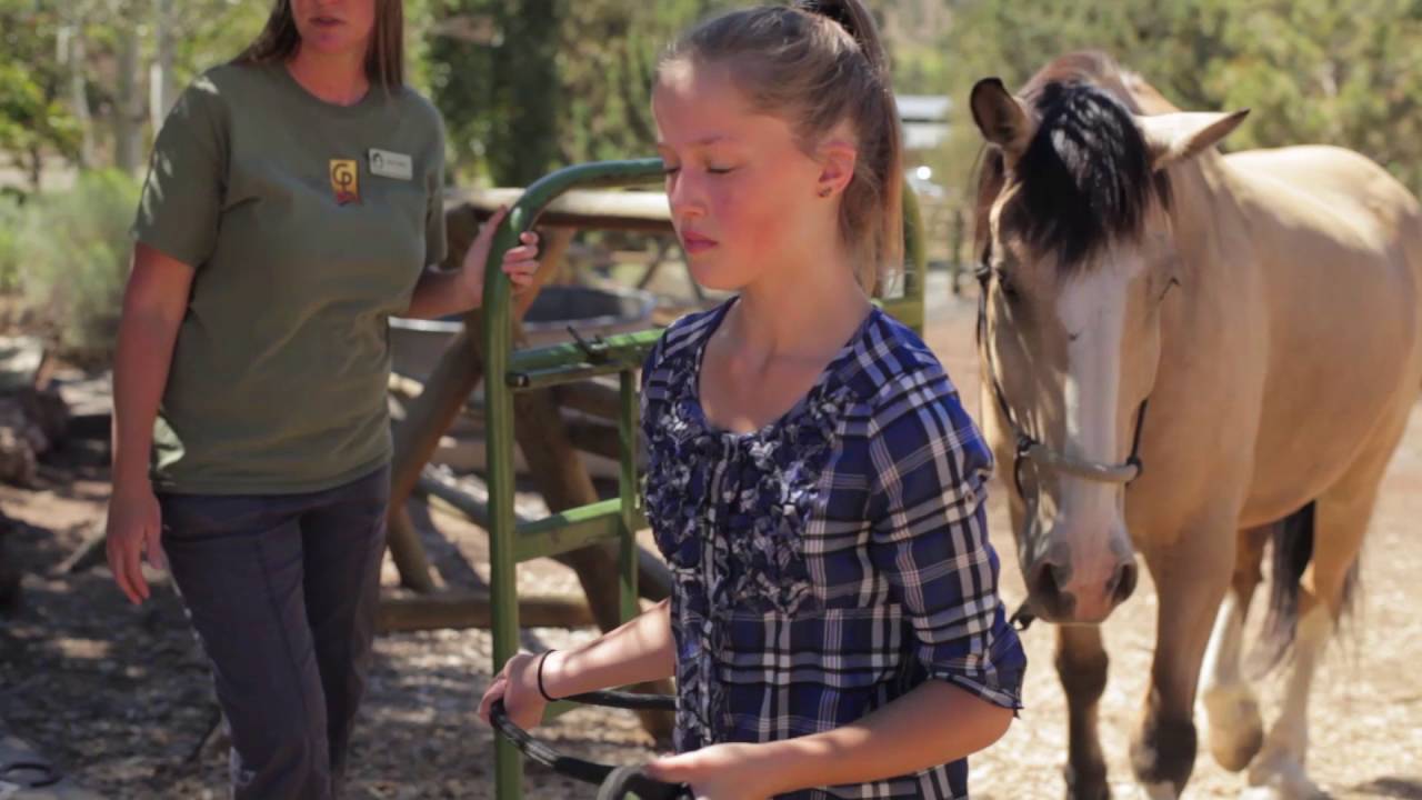 Crystal Peaks Youth Ranch "Session Program"