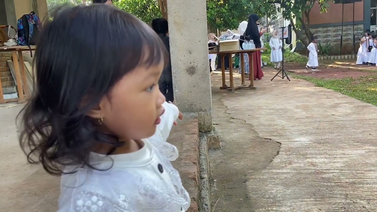 kompilasi video arashya