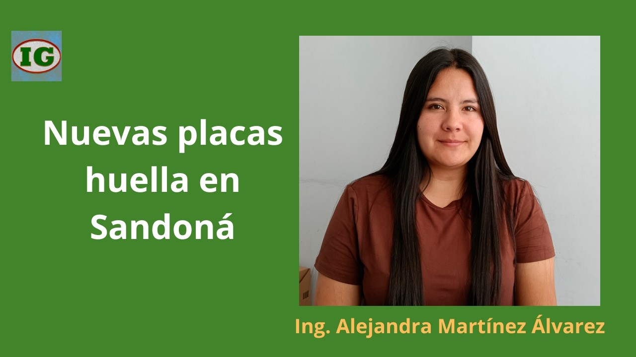 Placas huella Ing. Alejandra Martínez