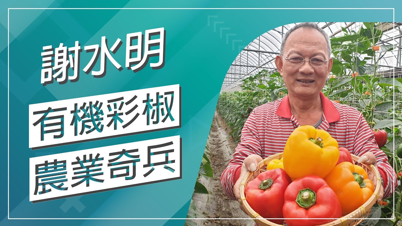 草地狀元-有機彩椒農業奇兵(20190429播出)careermaster