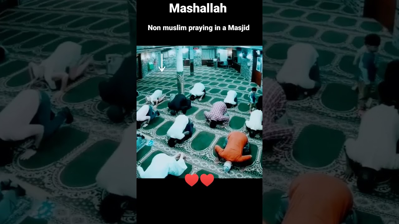 mashallah ❤️ non muslim come inside masjid #islamic #islam #shorts