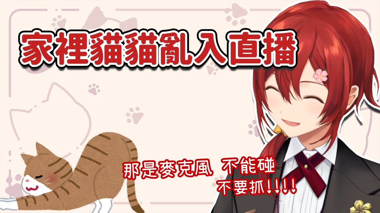 【花咲みやび】貓貓亂入直播！和貓貓的可愛互動【holostars中文字幕】