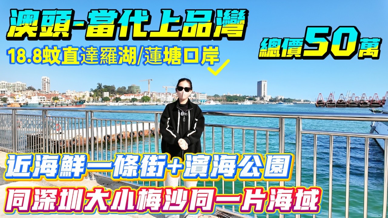 同深圳大小梅沙同一片海域 近海鮮一條街+濱海公園【澳頭-當代上品灣】111方3房2廁-總價50萬|劈價近2/3 離深超近的濱海生活 18.8蚊直達羅湖/蓮塘口岸#港人置業 #惠州樓盤