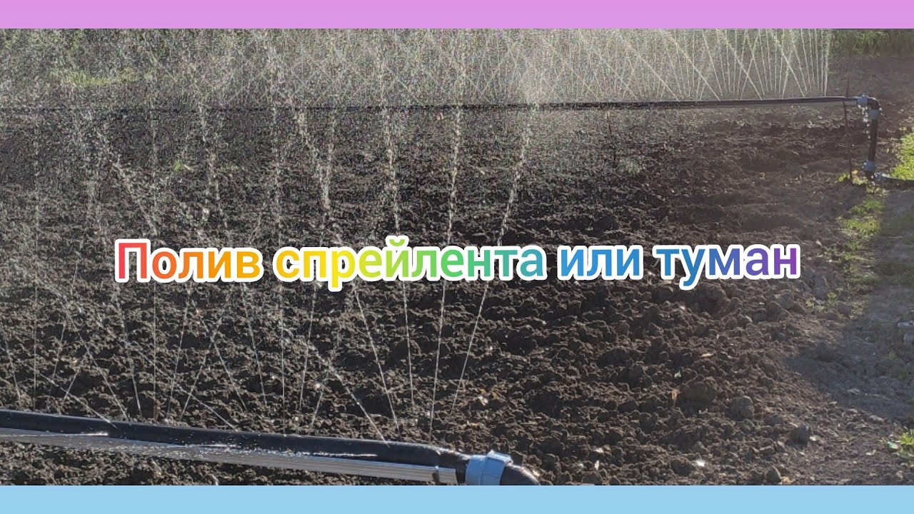 Полив туман/полив спрей лента/ обзор лучшего полива.