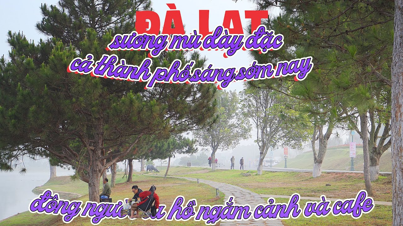 ĐÀ LẠT SƯƠNG MÙ DÀY ĐẶC sáng sớm hôm nay 20/02/2024 | Nhịp sống đã về lại bình thường sau TẾT