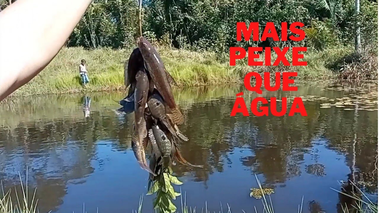 Pescaria caipira na lagoa das traíras, era só jogar e puxar