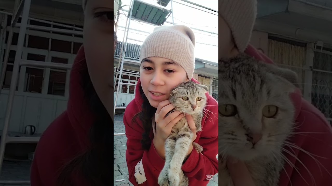 🧸 ВЛОГ 🧸/охиргача корилар 🙏🏻⏳🤗