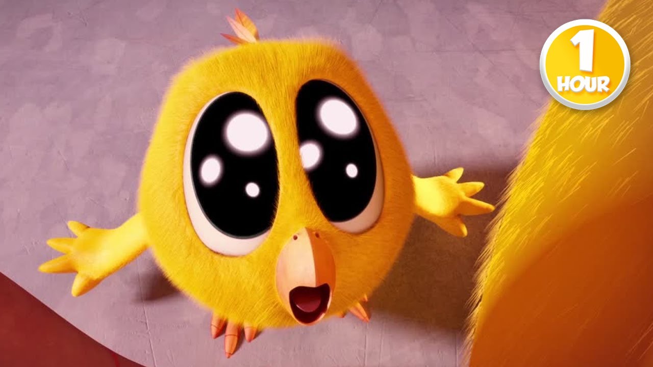CHICKY | The Giant Stuffed Animal | 1 Hour Compilation | KIDS & FAMILY CARTOON
